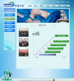 廣州與深圳網站建設成功案例 選擇18年老牌萬戶網絡，打造專業精品網站